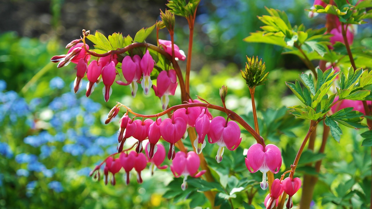 Best Plants for a Fragrant Moonlight Garden